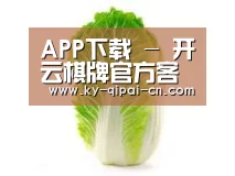 产品名称一