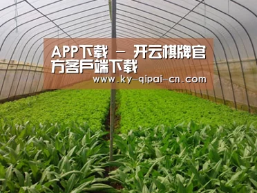 种植基地四