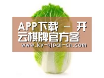 产品名称一(图1) 产品名称一(图1)