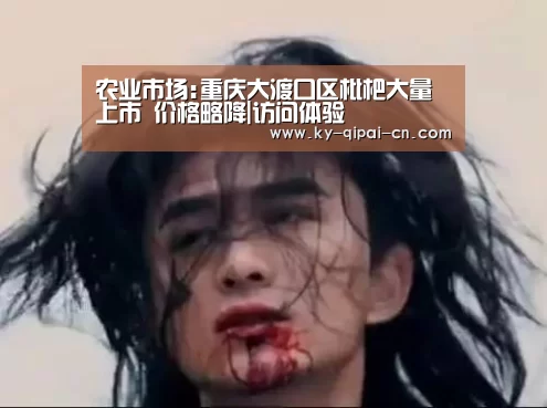 农业市场:重庆大渡口区枇杷大量上市 价格略降|访问体验(图3) 开元棋牌下载下载中心