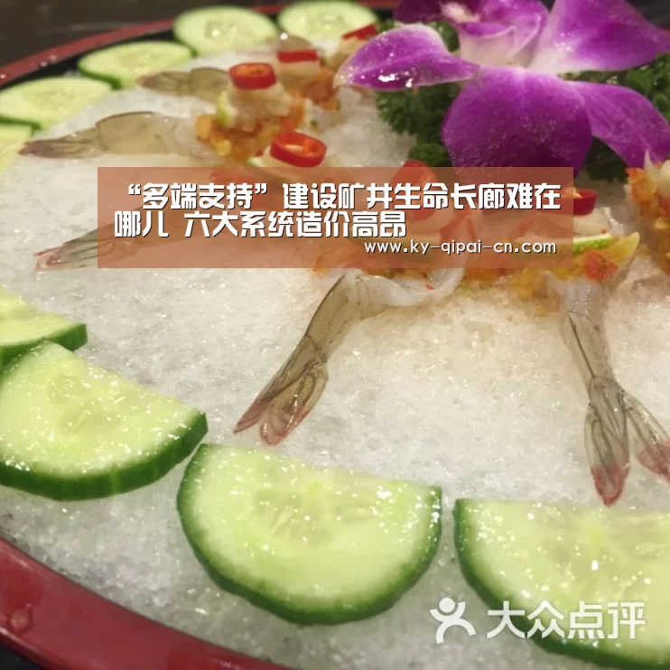 “多端支持”建设矿井生命长廊难在哪儿 六大系统造价高昂(图1) 应用获取