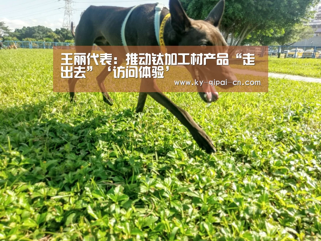 王丽代表:推动钛加工材产品“走出去”‘访问体验’(图2) 应用获取