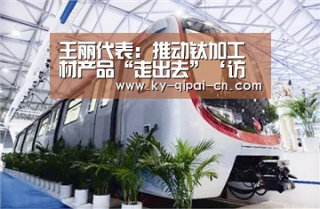 王丽代表:推动钛加工材产品“走出去”‘访问体验’(图3) 开元棋牌下载下载中心
