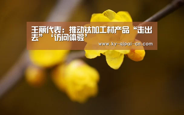 王丽代表:推动钛加工材产品“走出去”‘访问体验’(图4) 多端支持