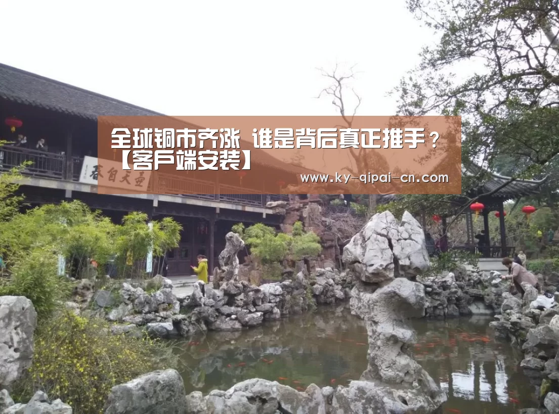 应用获取
