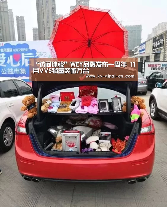 “访问体验”WEY品牌发布一周年 11月VV5销量突破万台(图1) 使用教程