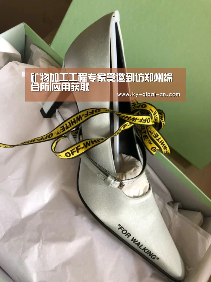 矿物加工工程专家受邀到访郑州综合所|应用获取(图2) 多端支持