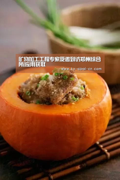 矿物加工工程专家受邀到访郑州综合所|应用获取(图3) 多端支持