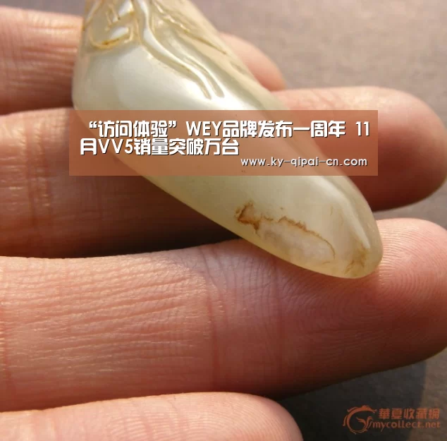 “访问体验”WEY品牌发布一周年 11月VV5销量突破万台(图3) 应用获取