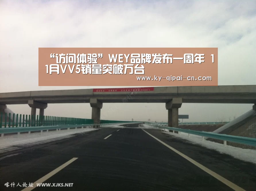 “访问体验”WEY品牌发布一周年 11月VV5销量突破万台(图4) 开元棋牌下载下载中心