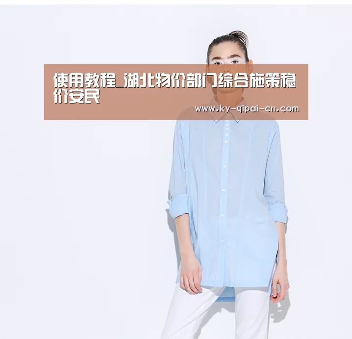 使用教程_湖北物价部门综合施策稳价安民(图1) 使用教程