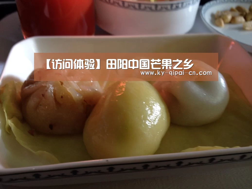 【访问体验】田阳中国芒果之乡(图1) 访问体验