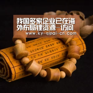 我国多家企业已在海外布局锂资源-访问体验(图1) 访问体验