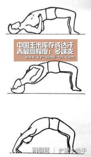 中国玉米库存或达汗青最高程度:多端支持(图1) 多端支持